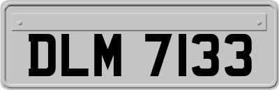 DLM7133