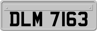 DLM7163