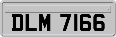 DLM7166