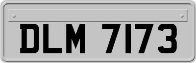 DLM7173