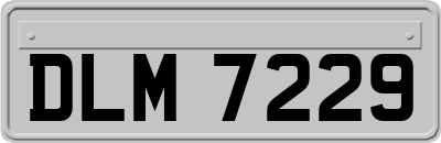 DLM7229