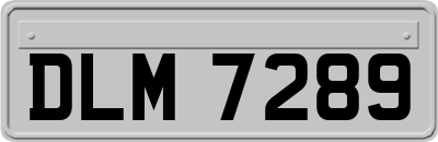 DLM7289