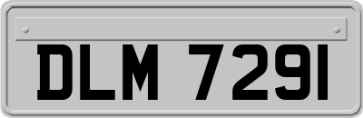 DLM7291