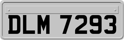 DLM7293