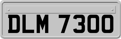 DLM7300