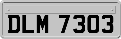 DLM7303