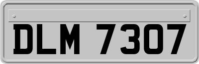 DLM7307