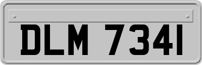 DLM7341