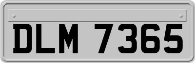 DLM7365
