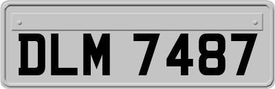 DLM7487