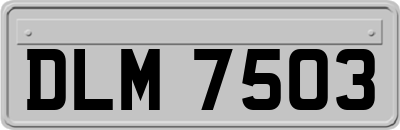 DLM7503