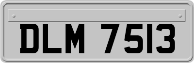 DLM7513