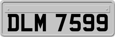 DLM7599
