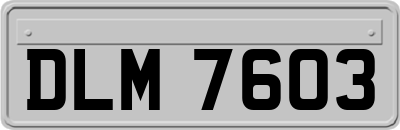 DLM7603