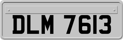 DLM7613