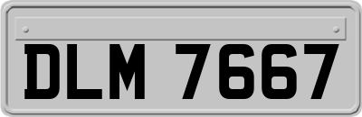 DLM7667