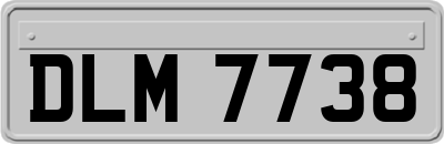 DLM7738