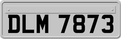 DLM7873
