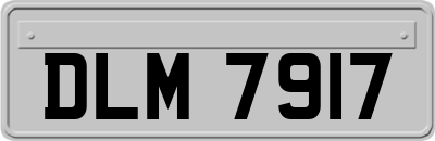 DLM7917