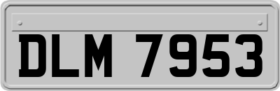 DLM7953
