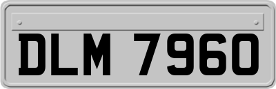 DLM7960