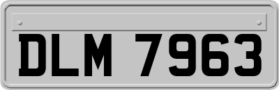DLM7963