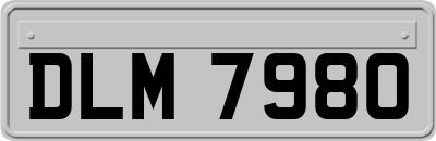 DLM7980