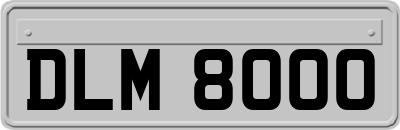 DLM8000