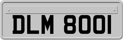 DLM8001