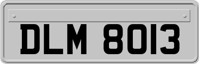 DLM8013