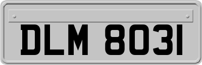 DLM8031