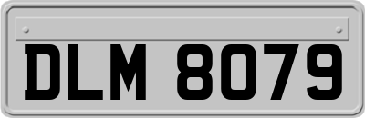DLM8079