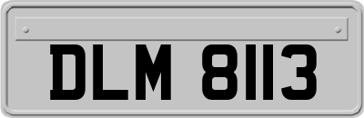 DLM8113