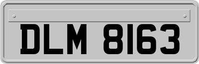 DLM8163
