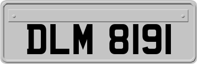 DLM8191