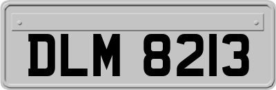 DLM8213