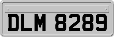DLM8289