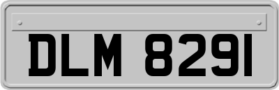 DLM8291