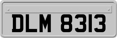 DLM8313