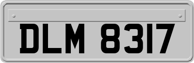 DLM8317