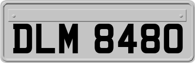 DLM8480