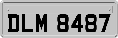DLM8487
