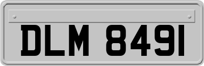 DLM8491