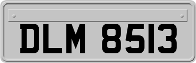 DLM8513