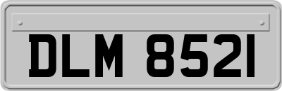 DLM8521