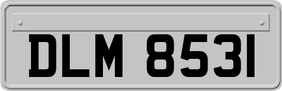 DLM8531