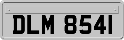DLM8541