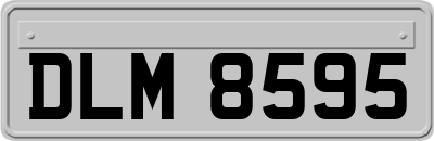 DLM8595
