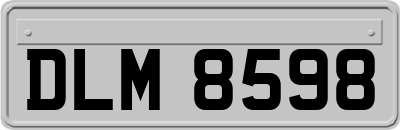 DLM8598