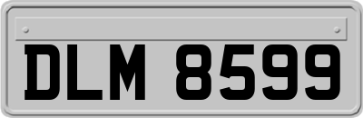 DLM8599